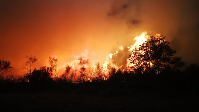 Incendi forestal aquest dilluns en la Serra de Sant Mamede