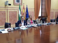 Junta invertirá más de 540 millones en el fomento de la movilidad sostenible y en la mejora de su red viaria en 2018