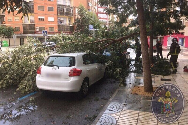 Imagen de Policía Local de Cartagena