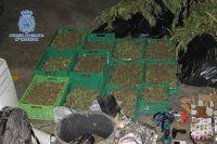 Desmantelan un cultivo de marihuana en el barrio malagueño de Churriana y detienen a seis personas