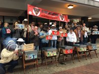 Apicultores marchan desde Santiago a Bilbao para exigir un "plan de choque" que frene los "estragos" de la velutina