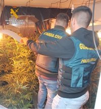 Desmantelado un laboratorio de producción de marihuana 'indoor' en la zona de Sepúlveda (Segovia)