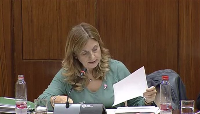 La consejera de Salud en comisión