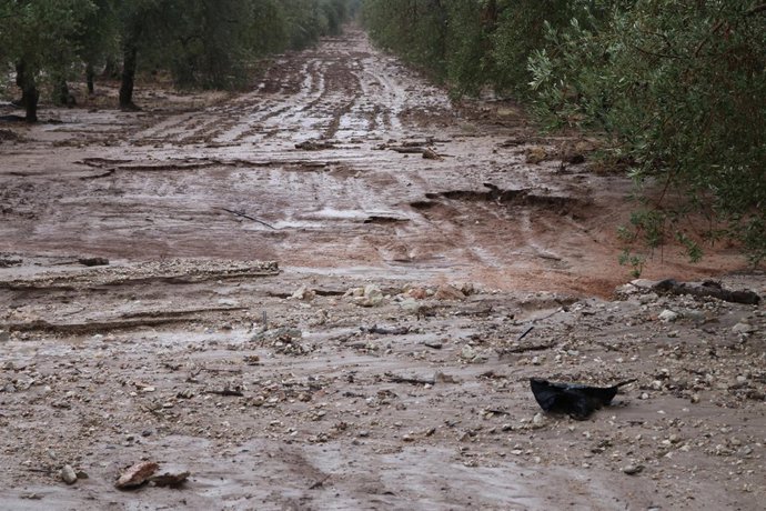Terreno mojado por la lluvia en Estepa (Sevilla)