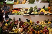 El Congreso llama al Gobierno a avanzar en políticas contra el hambre y a favor de una alimentación sostenible
