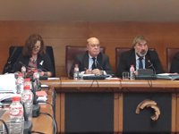 Sota dice que el PP mantuvo Ecomasa de forma "artificial" hasta las elecciones