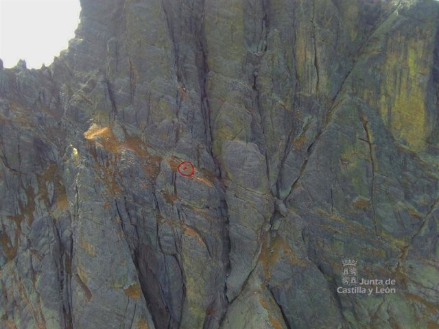 Rescate en el pico Curavacas, en Triollo (Palencia)