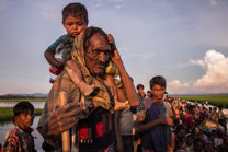 Refugiados rohingya