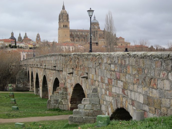 Vista de Salamanca desde el Puente Romano.