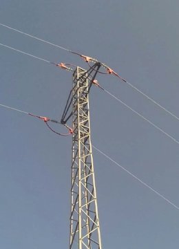 Endesa ha folrat línies per evitar que les aus s'electrocutin