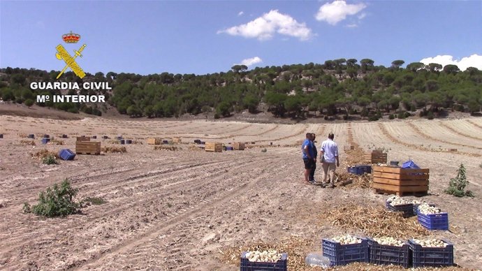 Segovia.- Explotación agraria donde se ha reliazado la detención