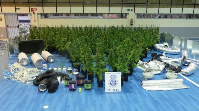 Policía Nacional De Toledo Desmantelado Un Centro De Cultivo De Marihuana De Int