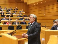 Barreiro (PP) dice que las medidas que va a tramitar el Senado son "imprescindibles"