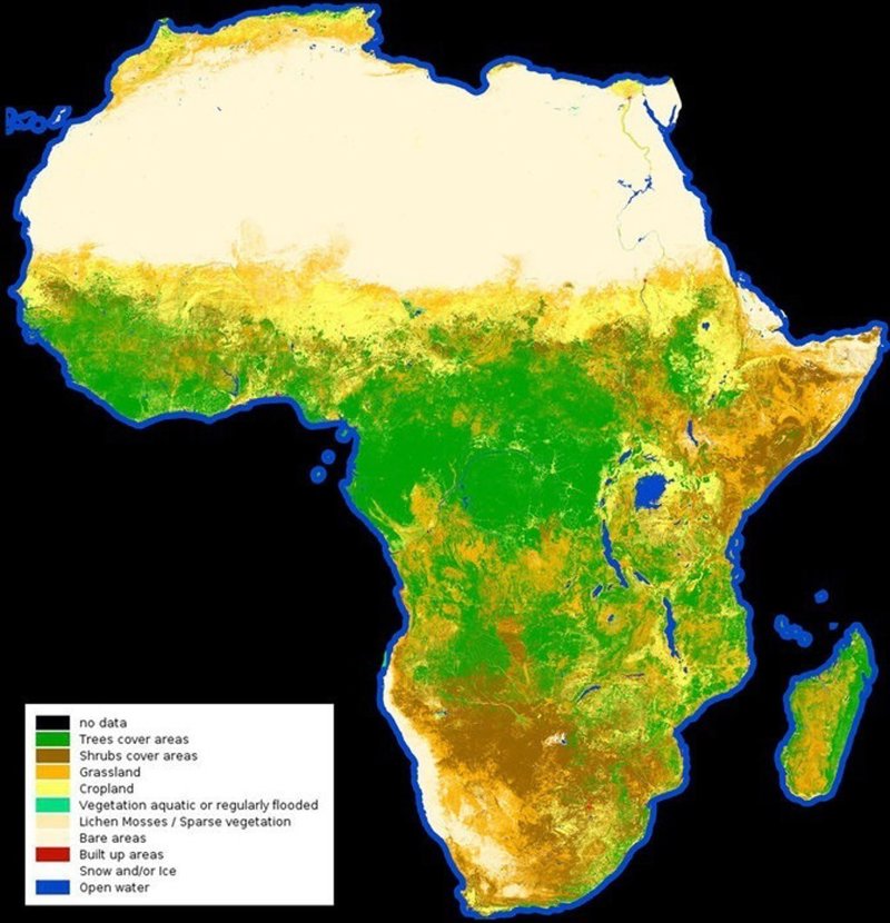 Un mapa satelital de la vegetación en África de 20 metros por píxel