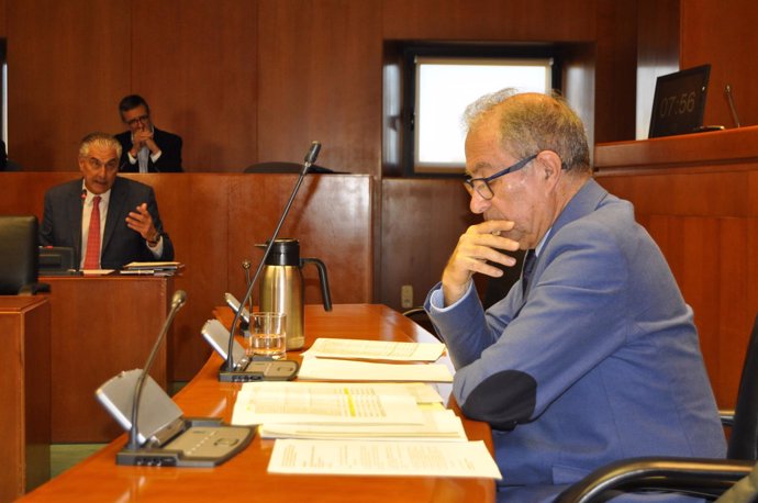 Suárez (PP) interpelando a Gimeno hoy en comisión en las Cortes