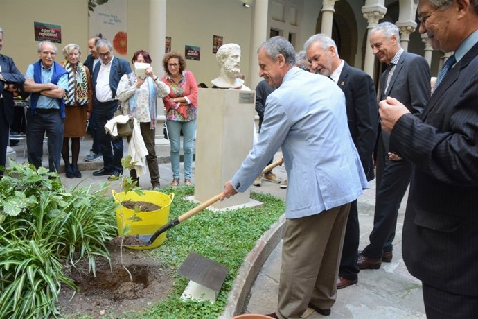 La UB planta un arbre descendent del d'Hipócrates