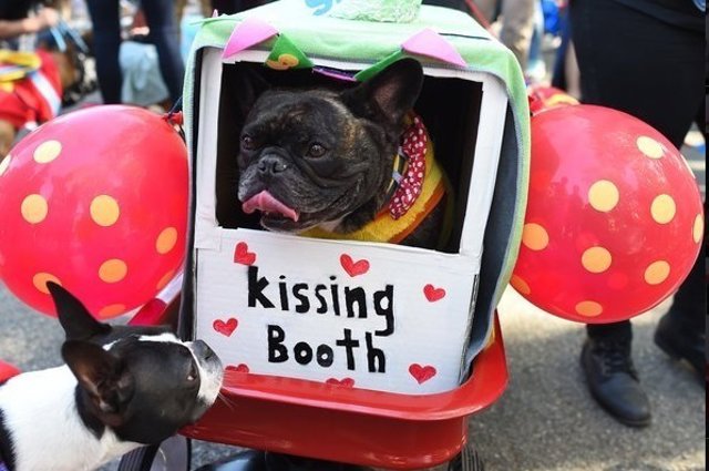 Halloween Dog Parade celebra en Nueva York