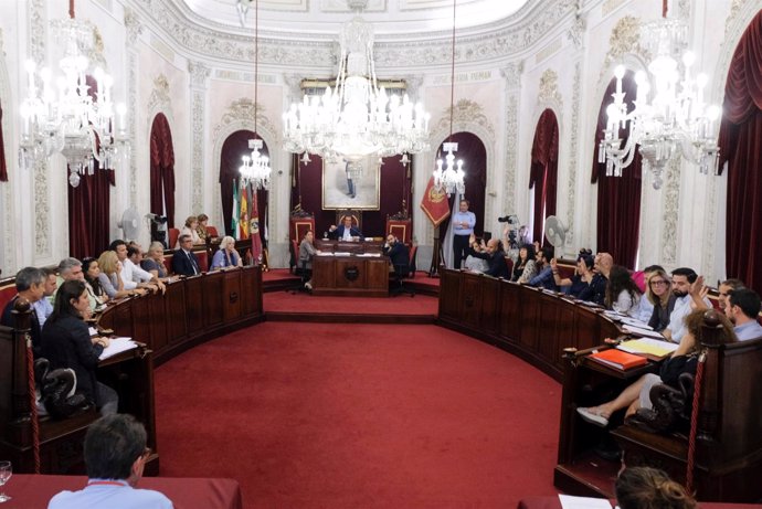 El consejo de administración de Eléctrica de Cádiz