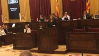 El Govern garantizará un trabajo y autonomía durante un año a mujeres víctimas de violencia machista