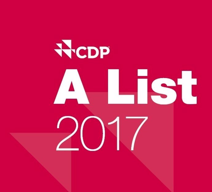 CDP 2017