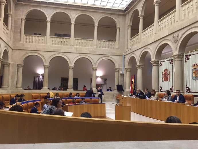 Sesión en el Parlamento de La Rioja