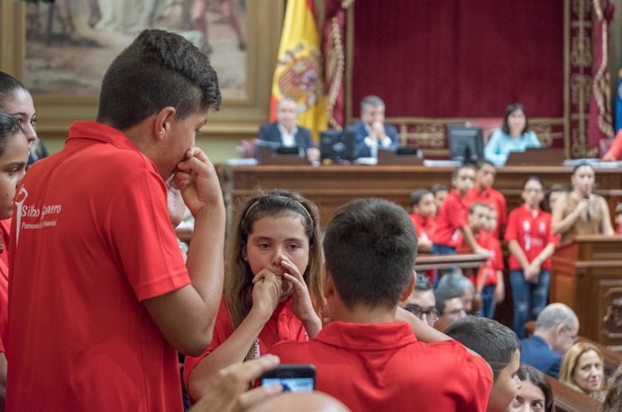 Nota De Prensa / El Parlamento De Canarias Declara Su Apoyo Incondicional Al Sil