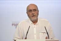 PSOE lleva al Senado la defensa del sector de la aceituna de mesa ante las denuncias de EEUU