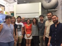 Un estudio evidencia que las lipoproteínas de muy baja densidad podría favorecer la resistencia a la insulina