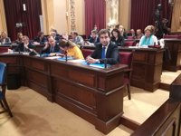 Company pide a Armengol que dialogue con el PP y que comience a gestionar para no "seguir soñando" en 2019