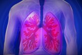 Foto: Descubren un gen asociado a la fibrosis pulmonar