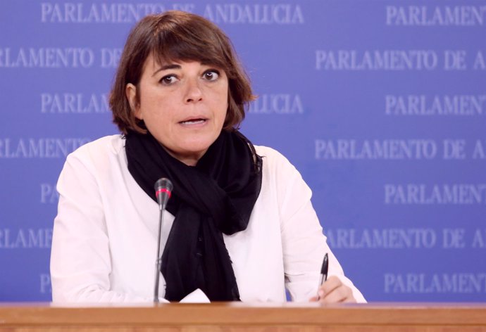 La portavoz adjunta del grupo parlamentario de IULV-CA, Elena Cortés