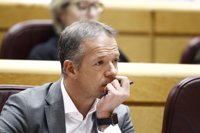 Ander Gil (PSOE) ve "deseable" que Puigdemont comparezca en el Senado "cuanto antes"