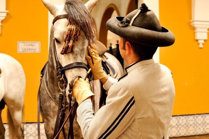 Caballo de la Real Escuela de Arte Ecuestre Jerez