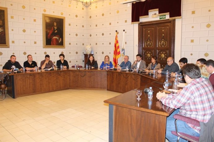 Ple de l'Ajuntament de la Seu d'Urgell