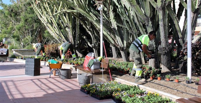Embellecimiento jardin estepona málaga flores plantación ejemplares operario 