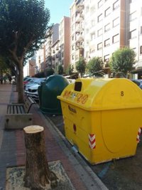 Eguzki pide información al Ayuntamiento por la tala de varios árboles en la calle Elkano de Barakaldo