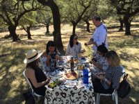 Periodistas y blogueros alemanes recorren la Sierra de Huelva para conocer los atractivos de la zona