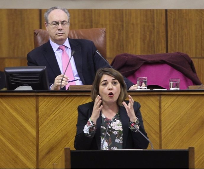 Elena Cortés, en el pleno del Parlamento