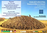 Unas jornadas tratan en La Aldea del Obispo (Cáceres) el presente y futuro de la producción tradicional de carbón