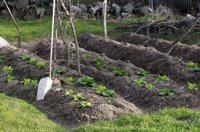 Cae un grupo dedicado a robos de frutos del campo en el Valle del Guadalhorce y detienen a seis personas