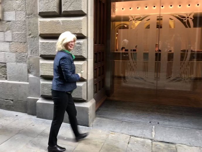 I.Rigau entra en el Palau de la Generalitat 