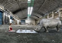 La galería Spectrum lleva a Ejea un recorrido por la fotografía contemporánea