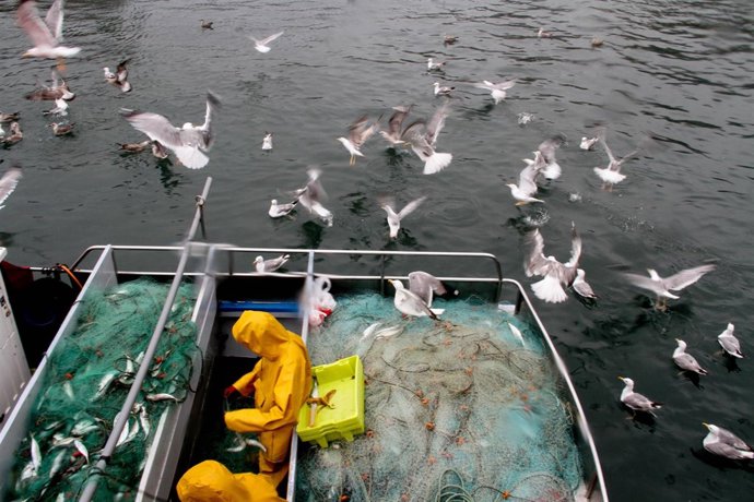 Pescadores bajo la lluvia'