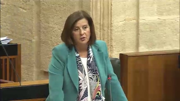 La consejera de Igualdad en el Pleno del Parlamento