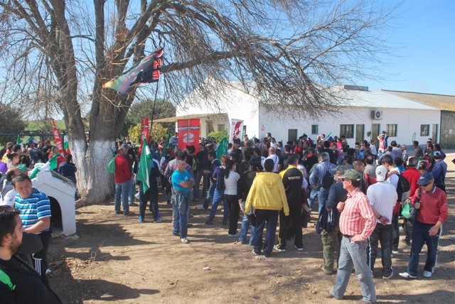 Jornaleros En La Finca Pública Ocupada De Somonte