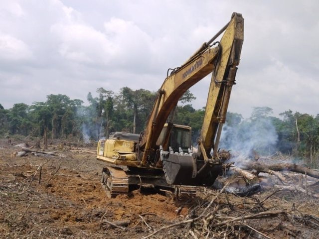 Apertura de carretera en la selva del Congo