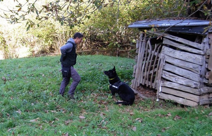 Campaña del Seprona contra cebos envenenados