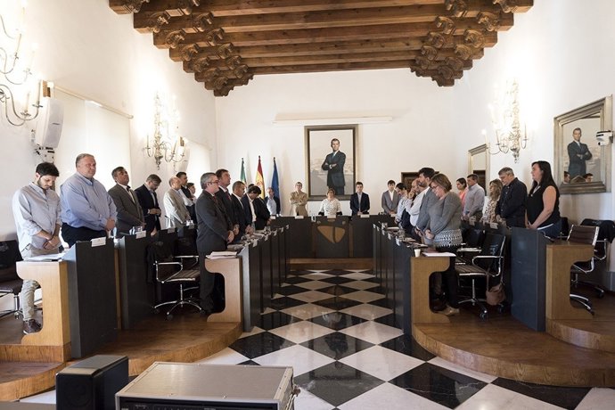 Foto, Nota Y Audio Del Pleno Diputación