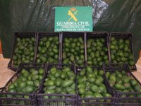 Detenido un hombre por el robo de más de 300 kilos de aguacates en una finca en Breña Alta