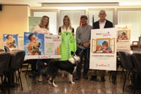 Un concurso literario llevará a escolares andaluces a vivir una aventura en el Ártico